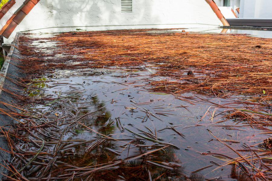 water pooling flat roof