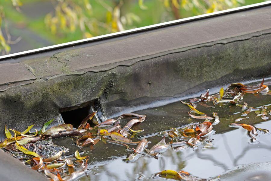 water pooling in toronto