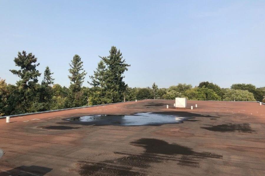 water pooling on flat roof
