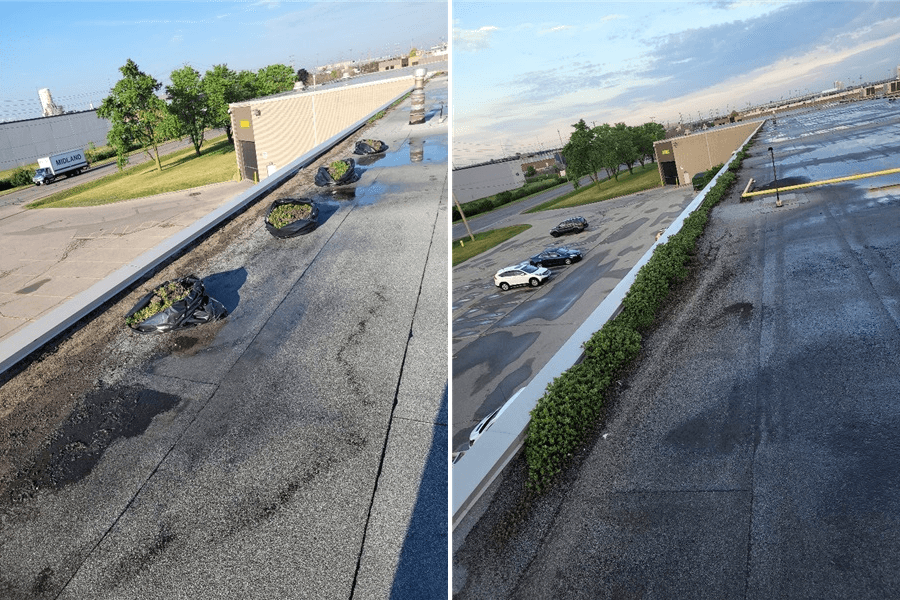 remove plants and debris from flat roof