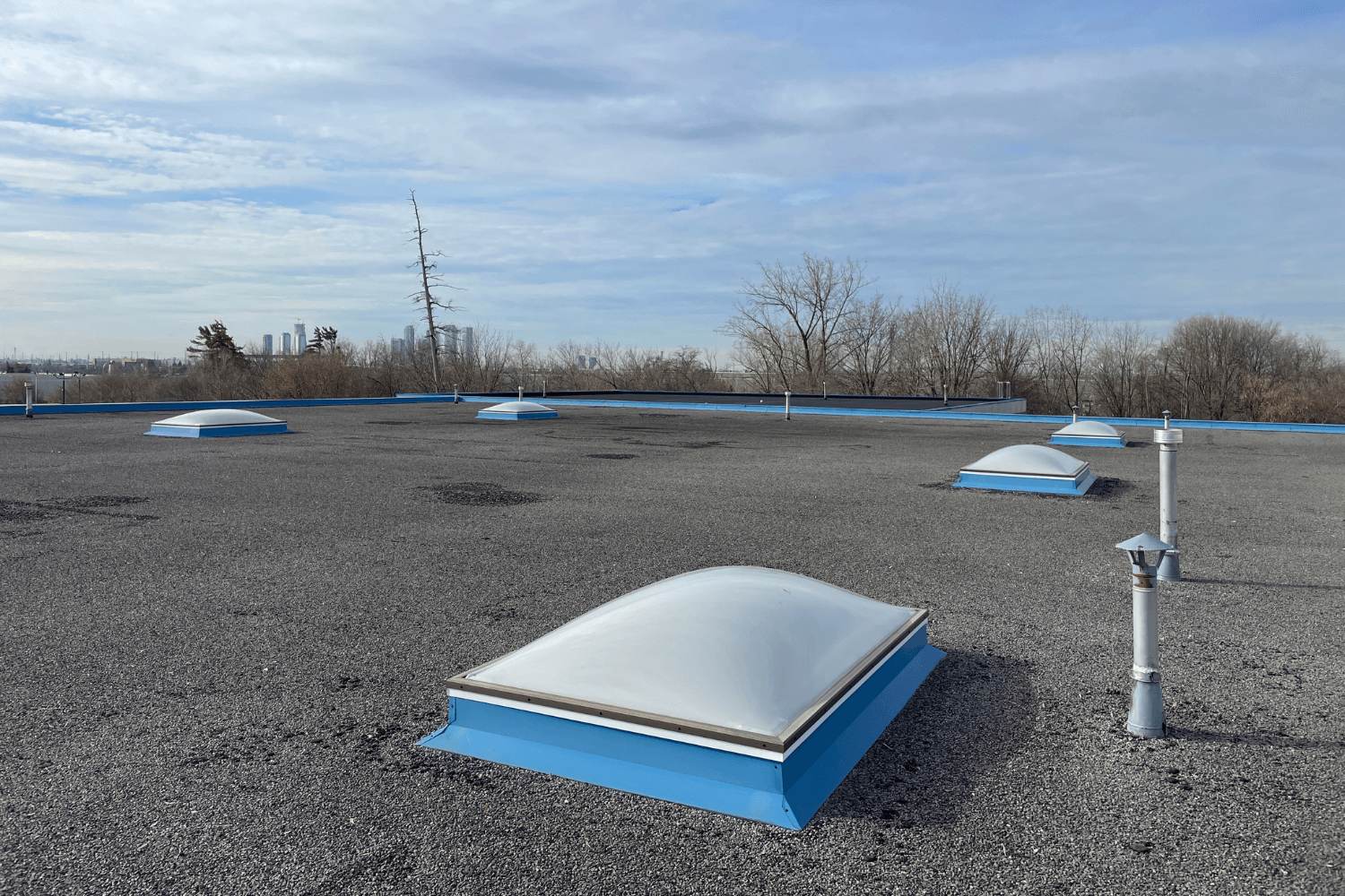 skylight repair and replacement services for flat roofs