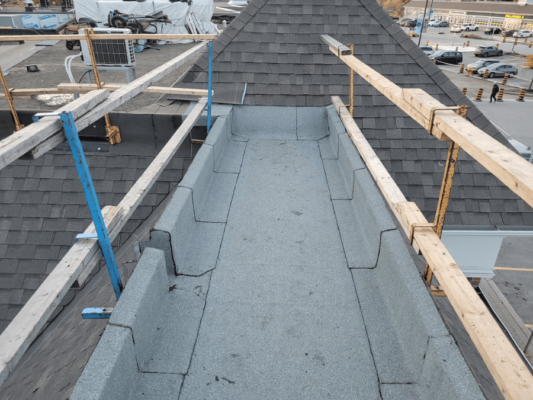 high traffic flat roof safety port credit