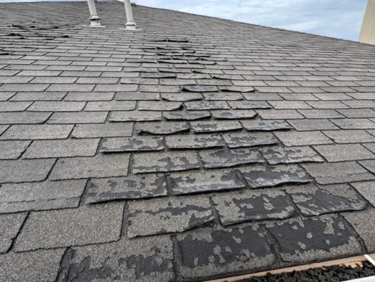 multi unit shingle roofing