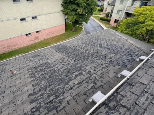 roofing shingles for multi unit buildings