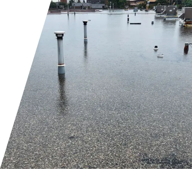 Emergency Leak Repair in King City