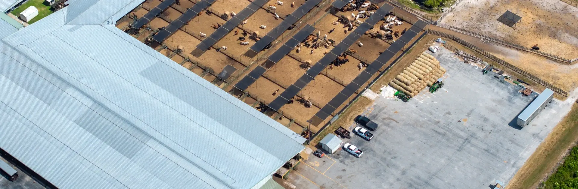 specialist tpo roofing company