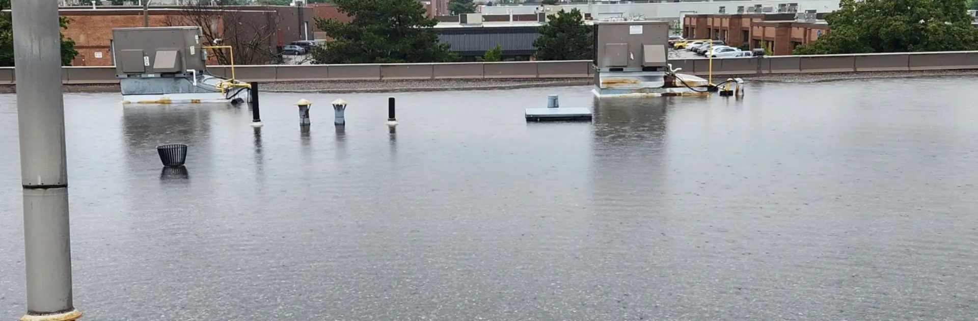 professional flat roof repair services