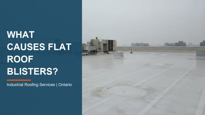 flat roof blisters