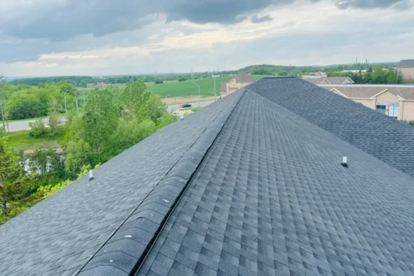 sloped roof shingle replacement