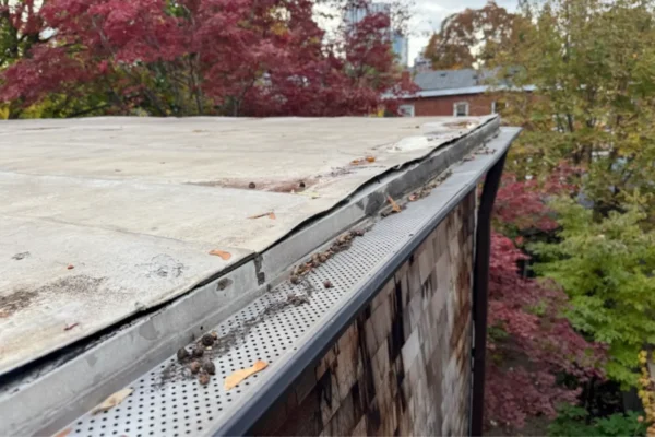 toronto replacing a roof with tpo